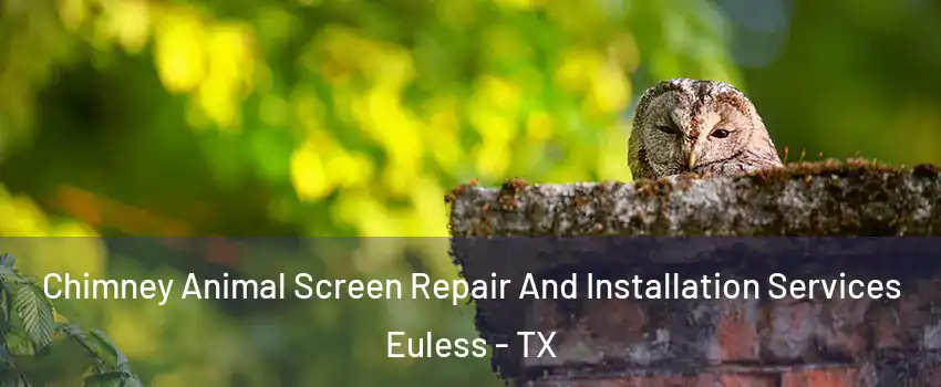  Chimney Animal Screen Repair And Installation Services Euless - TX