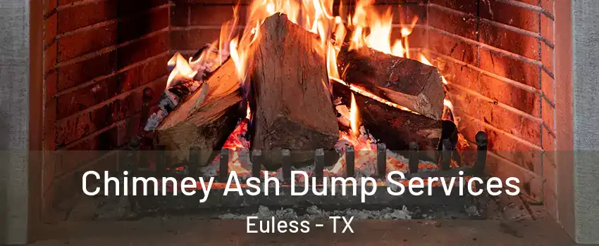  Chimney Ash Dump Services Euless - TX