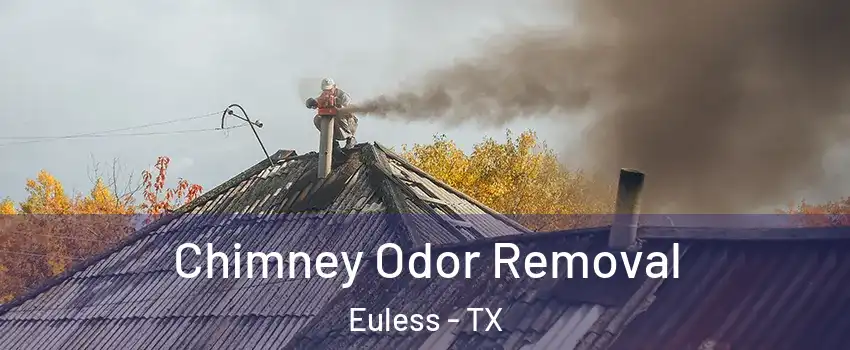 Chimney Odor Removal Euless - TX