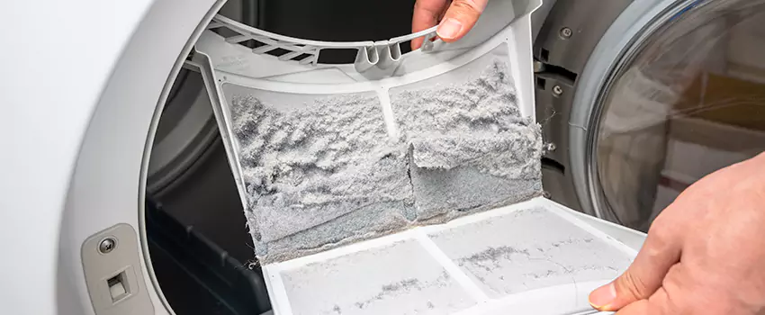 Best Dryer Lint Removal Company in Euless, Texas