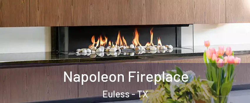  Napoleon Fireplace Euless - TX