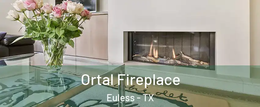 Ortal Fireplace Euless - TX